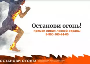 Федеральная противопожарная кампания "Останови огонь!"